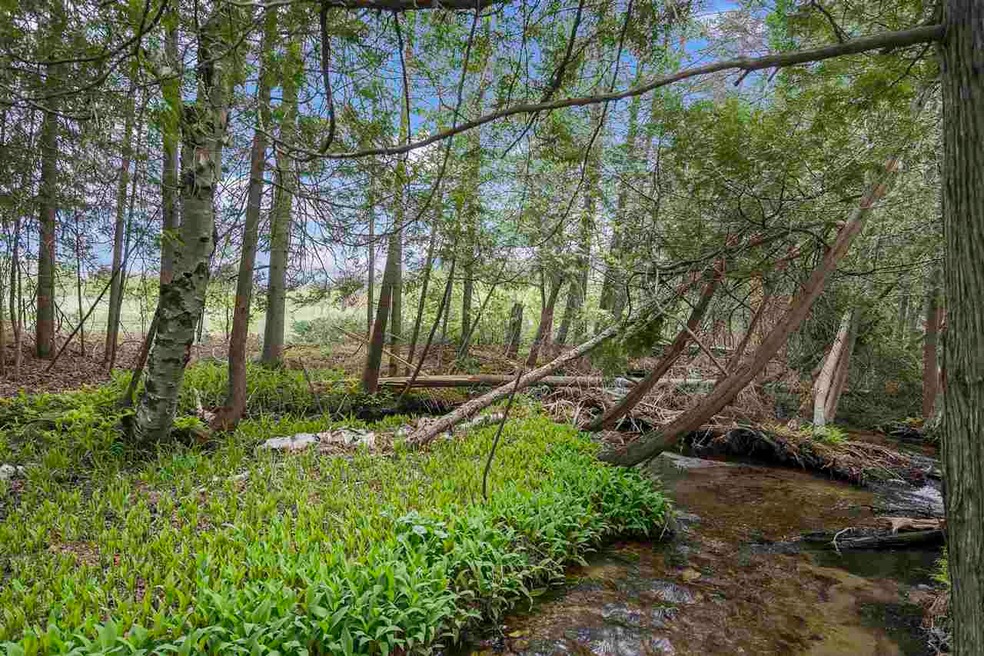 3200 Howard Rd, Boyne Falls, MI 49713 - photo 1