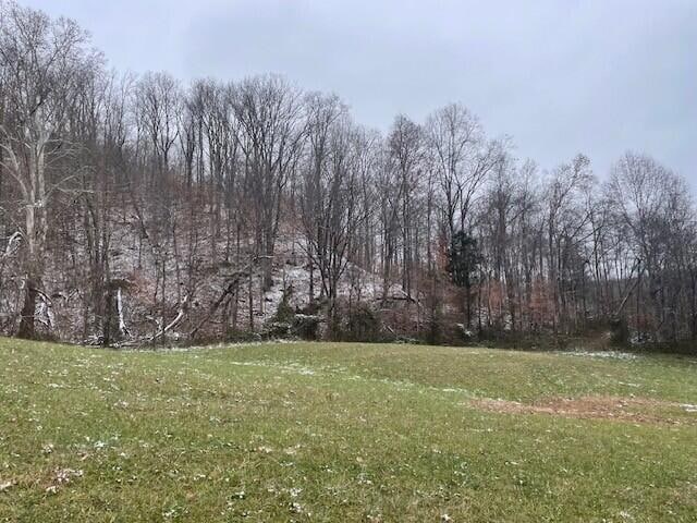 6800 Lower Licking Rd, Lakeview Heights, KY 40351 - photo 1