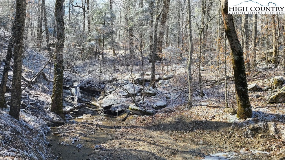 BOLD NOISY CREEK WITH WATERFALLS