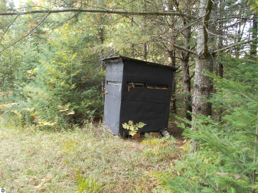 6004 M 55, Whittemore, MI 48770 - photo 1