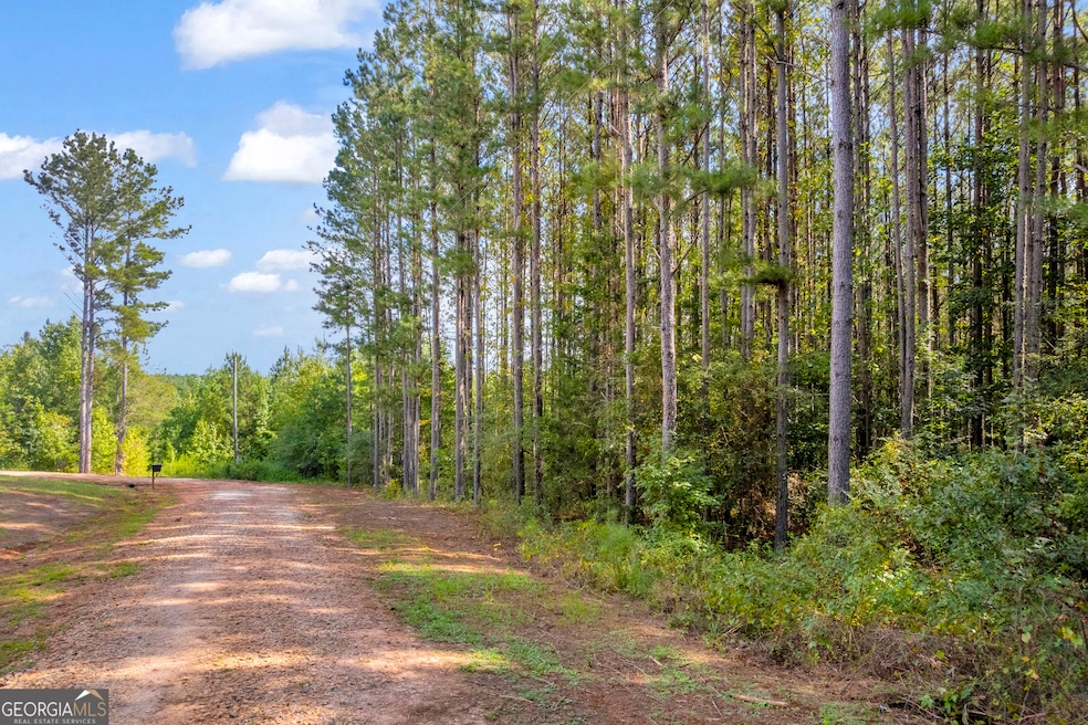 0 Moonlight Dr unit 10598549, Martin, GA 30557 - photo 1