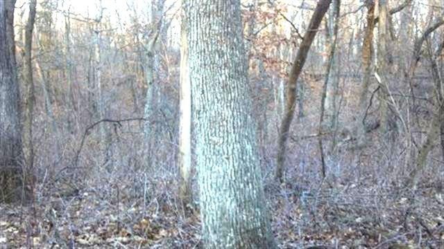 16+/- AC Freidig Rd, Brooklyn, WI 53521 - photo 1