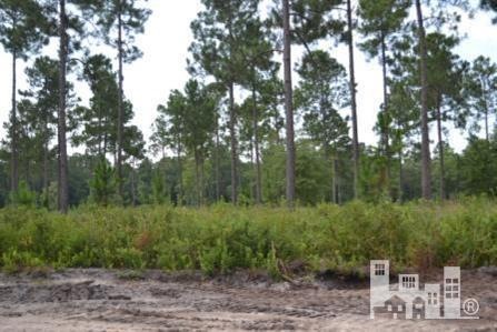 5038 Stoney Park, Leland, NC 28451 - photo 1