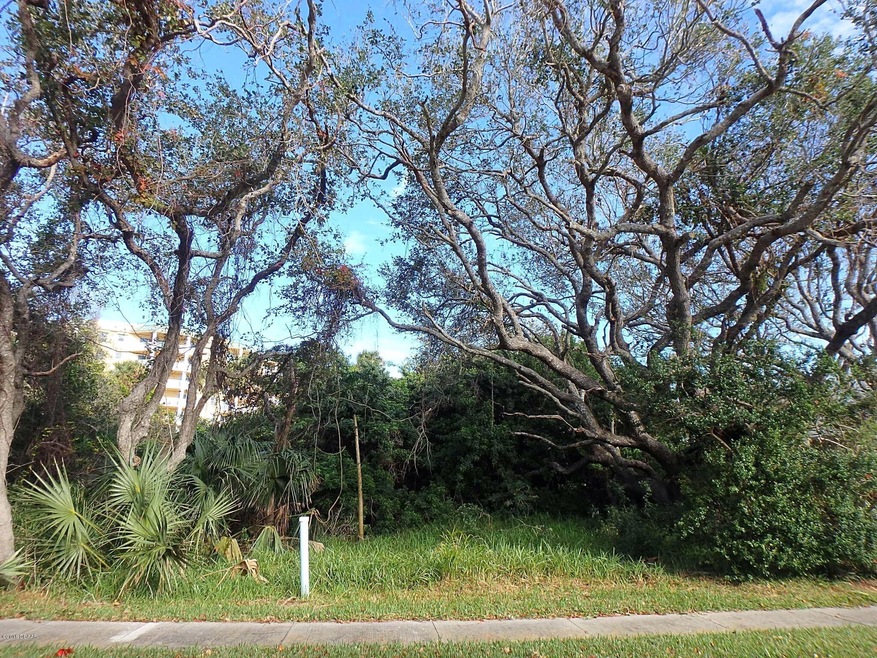 66 Loggerhead Ct.