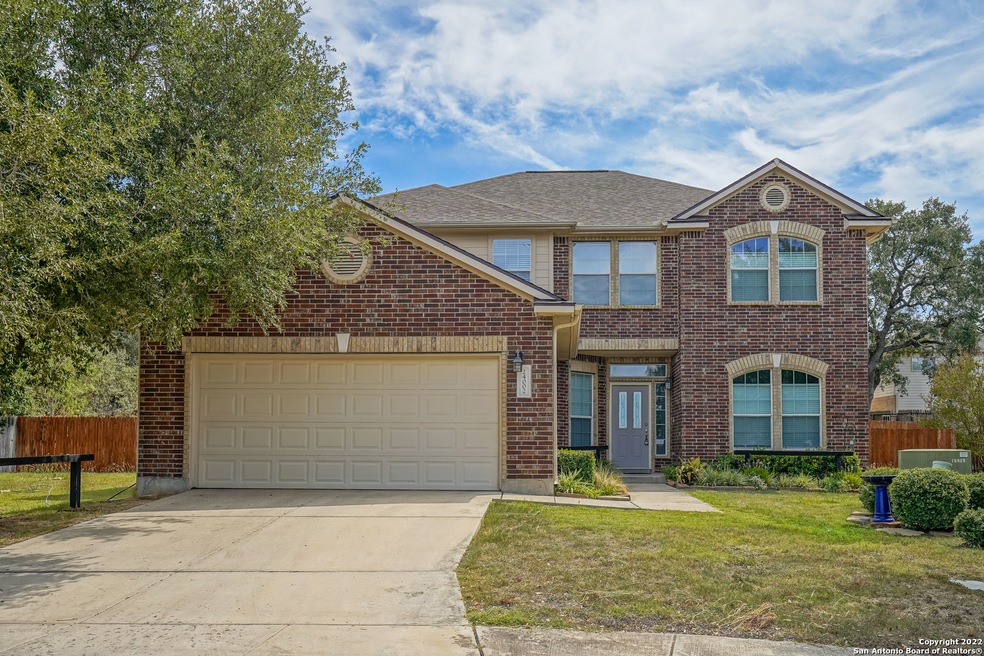 24002 Buckthorn Pass, San Antonio, TX 78261 - photo 1