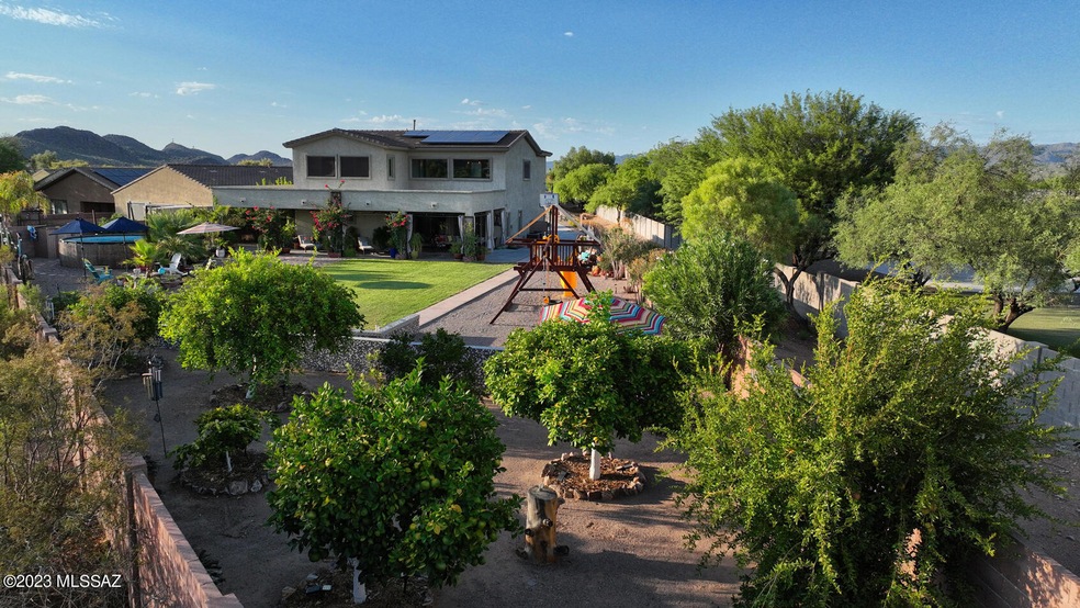 Backyard Mature foliage& Citrus trees