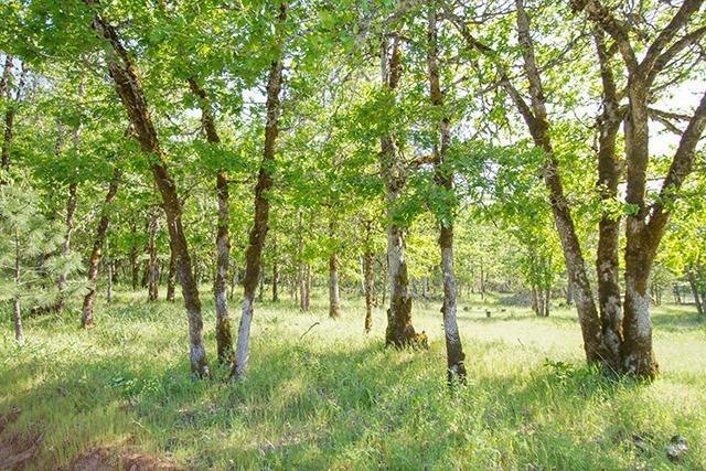 0 Hugo Rd, Grants Pass, OR 97526 - photo 1