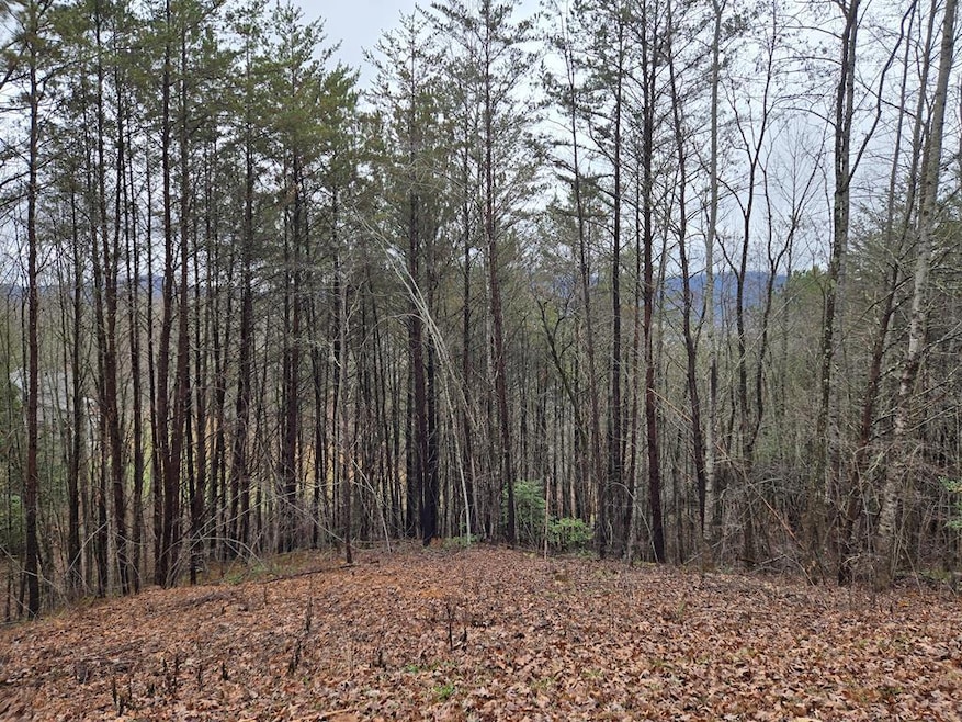 Lot 101 Eagles View Crescent, Hayesville, NC 28904 - photo 1