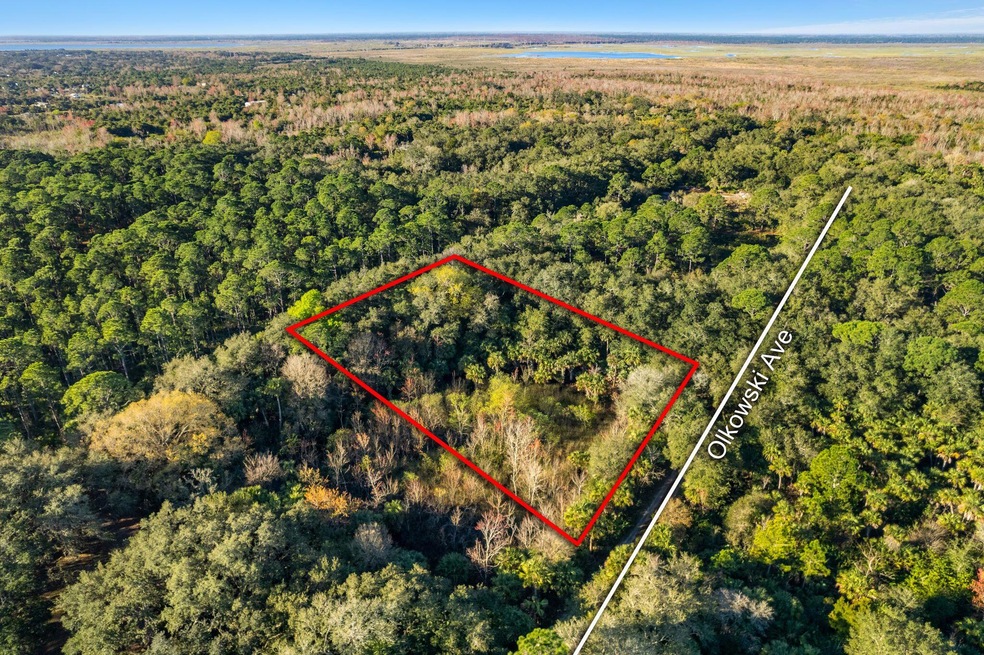 1-web-or-mls-DJI_0071-Lot Lines and Land