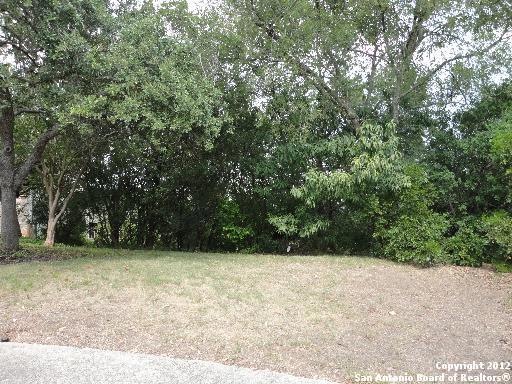 16817 Pescador, Helotes, TX 78023 - photo 1