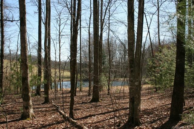 Pond View from homesite