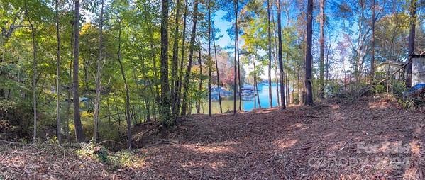 7124 Nancy Lee Cir, Sherrills Ford, NC 28673 - photo 1