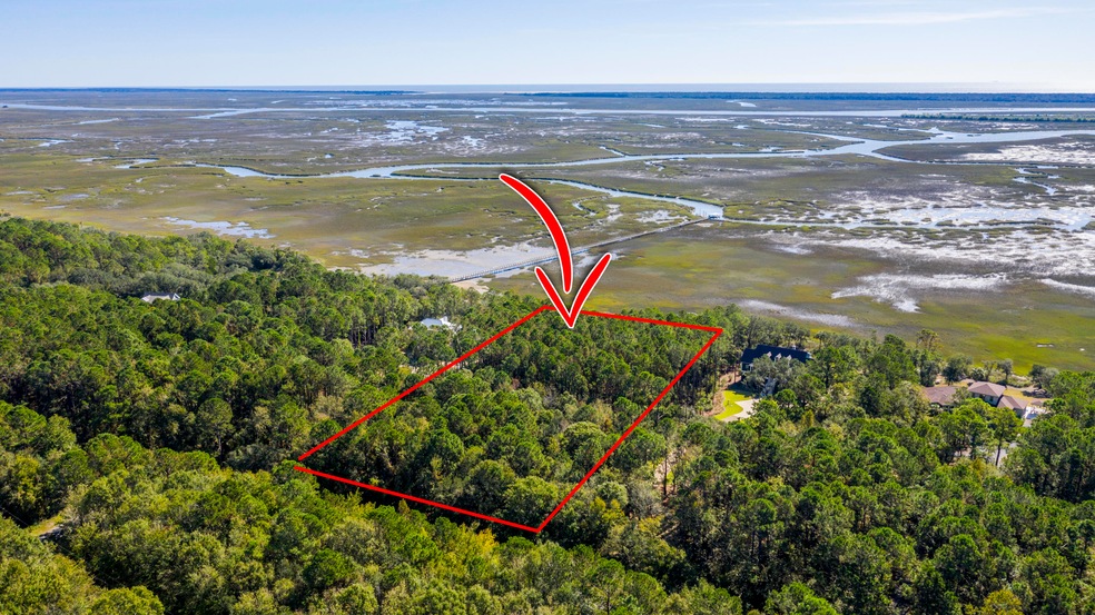 15 Longmarsh Rd, Mount Pleasant, SC 29429 - photo 1