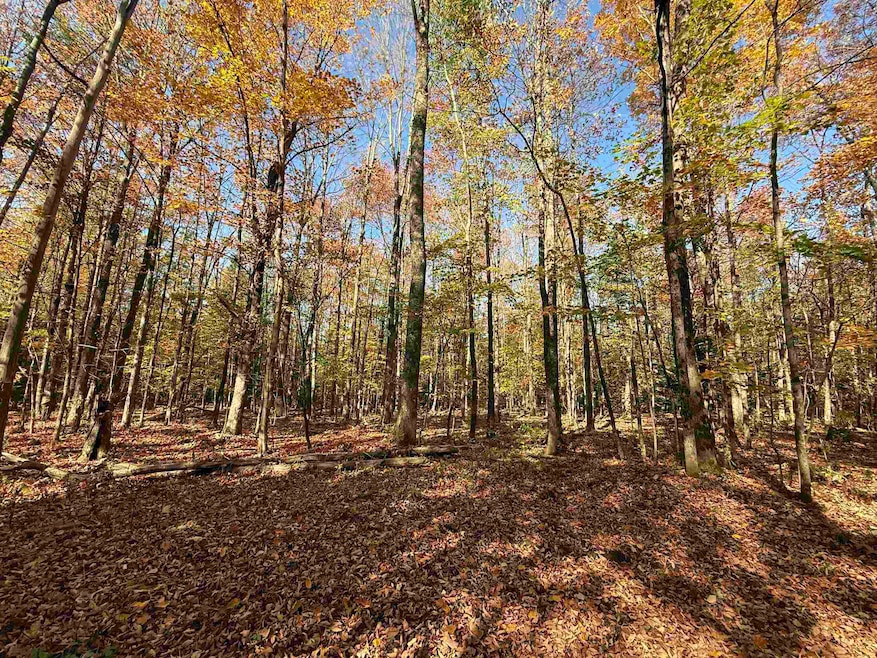 1414 Collins Mill Rd, Newport Center, VT 05857 - photo 1