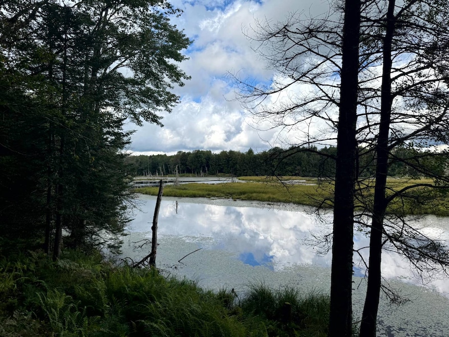 1.6 Farr Rd unit 6, Ohio, NY 13324 - photo 1