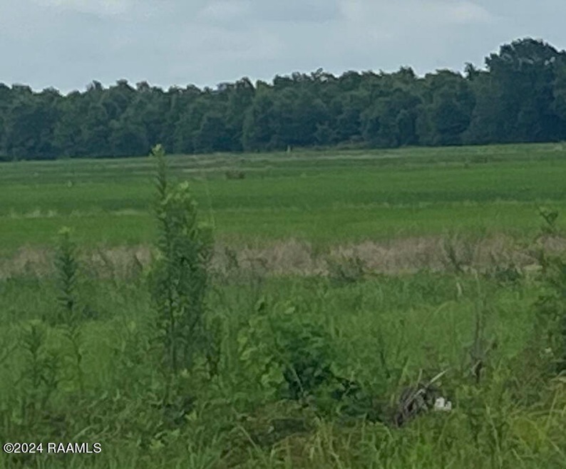 0 C Hudson Dr, Eunice, LA 70535 - photo 1