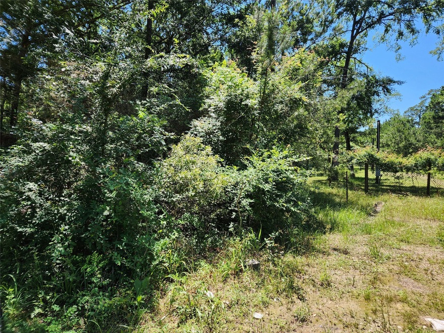 LOT 3 Youpon Dr, Plantersville, TX 77363 - photo 1