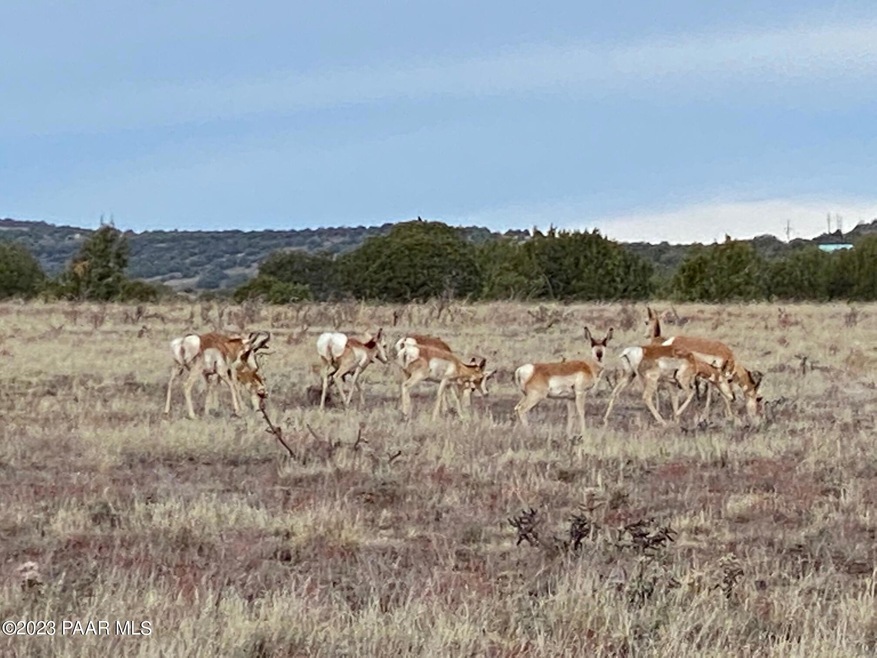 11975 W Dozer Ave, Ash Fork, AZ 86320 - photo 1