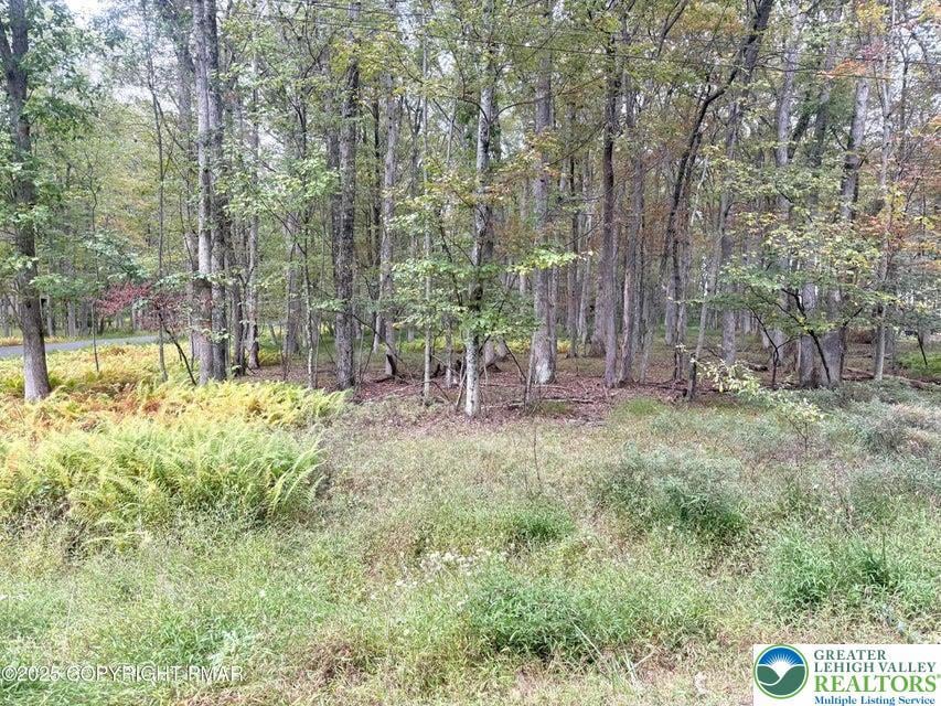 0 Willow Dr, Penn Forest Township, PA 18229 - photo 1