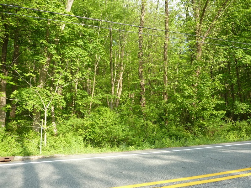 732 County Road 519, Belvidere, NJ 07823 - photo 1