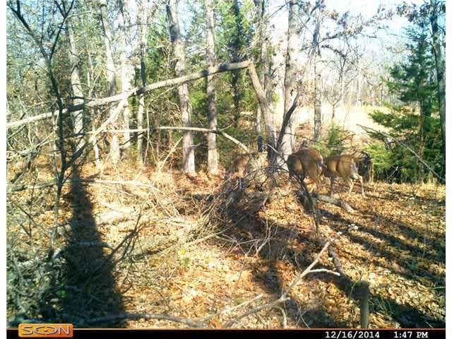 21665 Drummond Rd, Tecumseh, OK 74873 - photo 1