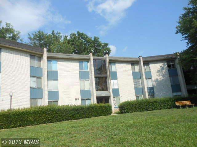 2517 Baltimore Ave unit 2, Takoma Park, MD 20912 - photo 1