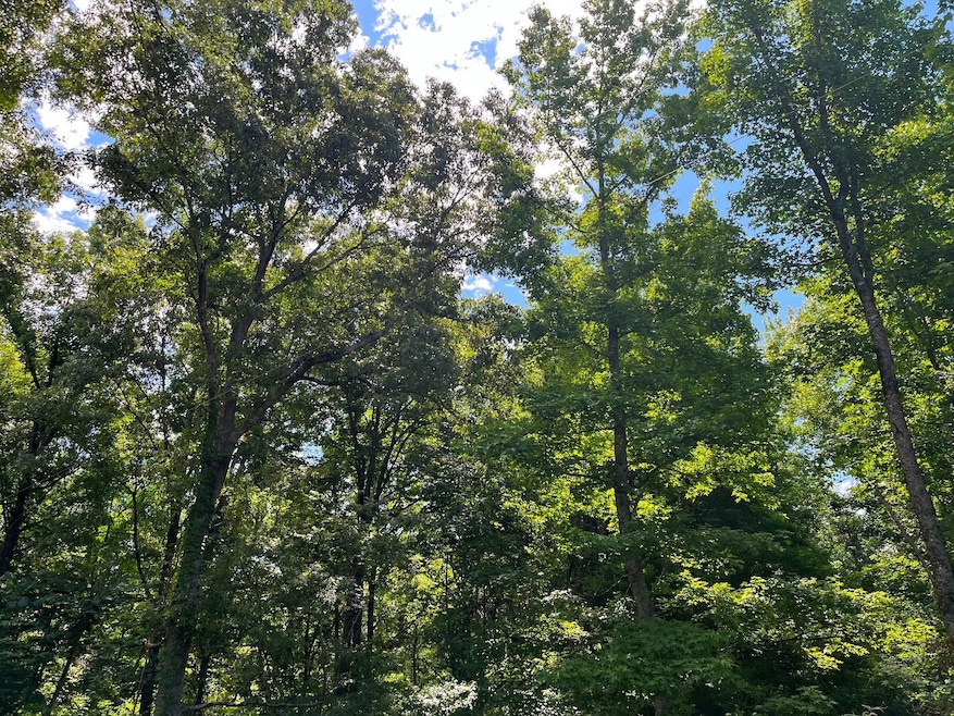 Tillman Chapel Rd, Port Gibson, MS 39150 - photo 1