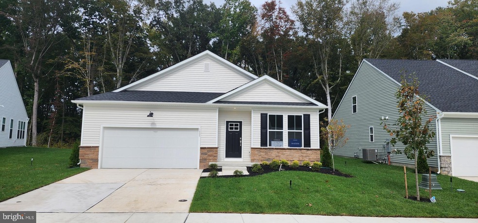 1005 Shannon Falls Dr, Newark, DE 19702 - photo 1