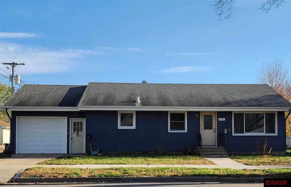 1017 St, New Ulm, MN 56073 - photo 1