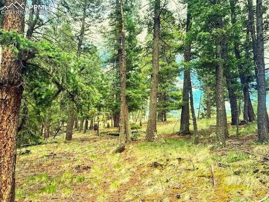 179 Kenosha Way, Florissant, CO 80816 - photo 1