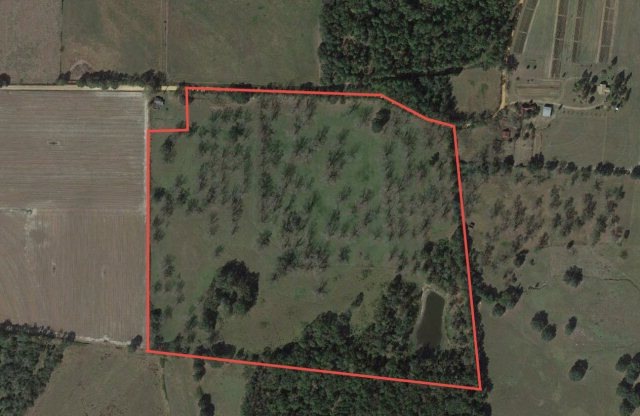 56 ac Nesbitt Rd, Pavo, GA 31778 - photo 1