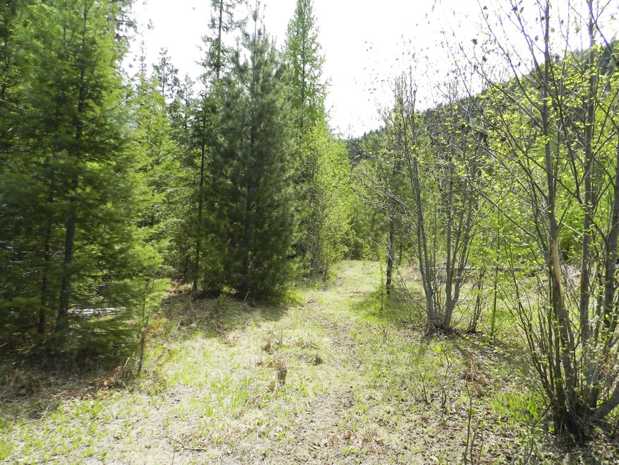 lot 9