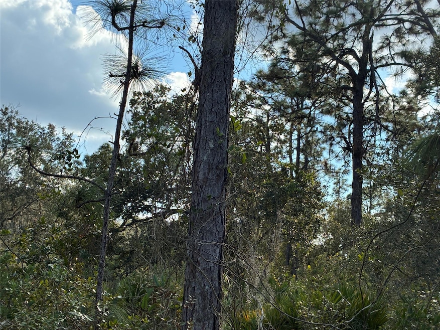 207 Plumosa Dr, Lake Wales, FL 33855 - photo 1