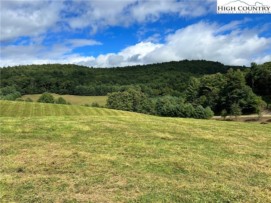 7 Wildcat Rd, Deep Gap, NC 28618 - photo 1