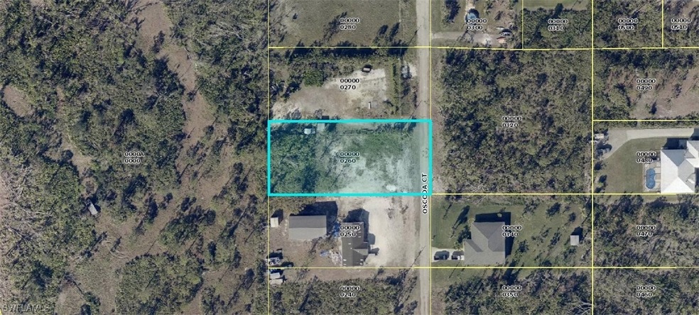 11941 Oscoda Ct, Pine Island Center, FL 33922 - photo 1