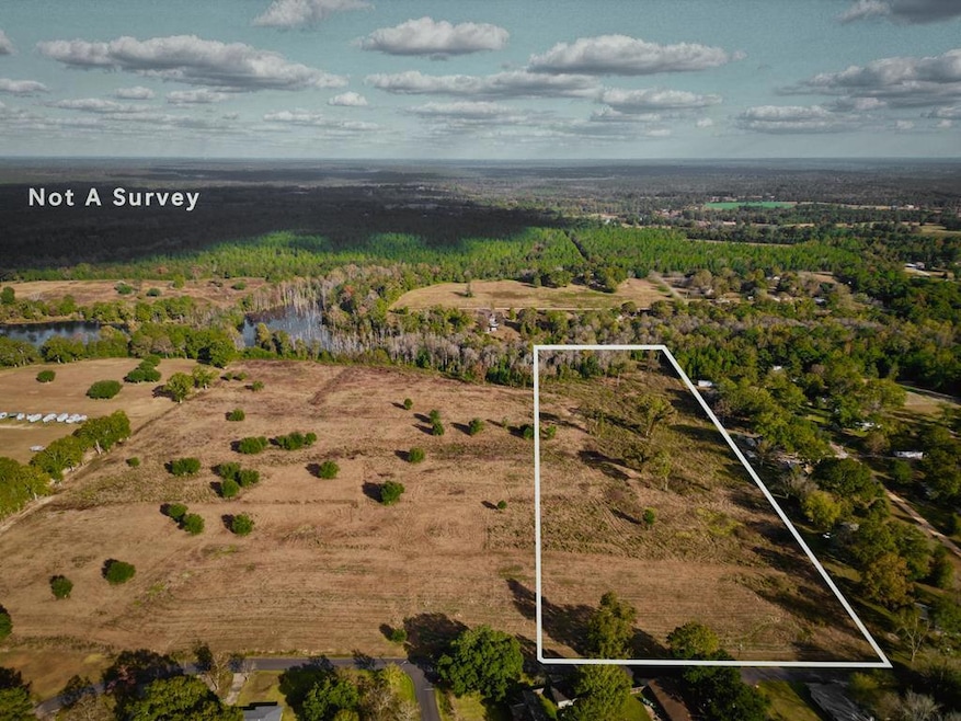 Lot 2 Spruce St, Poplarville, MS 39470 - photo 1