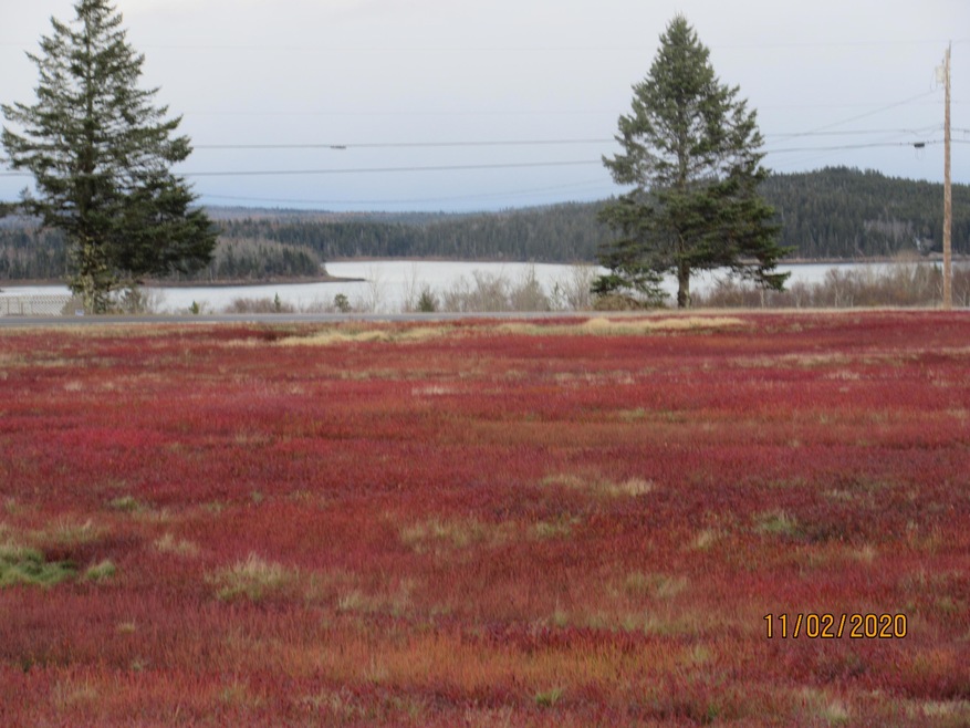 Land with View