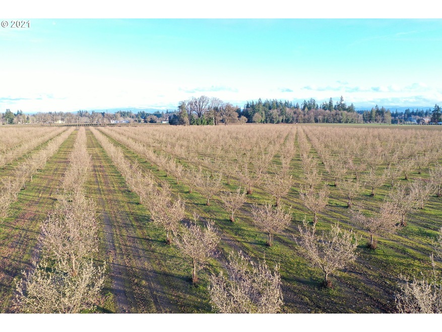 17838 Monnier Rd NE, Hubbard, OR 97032 - photo 1