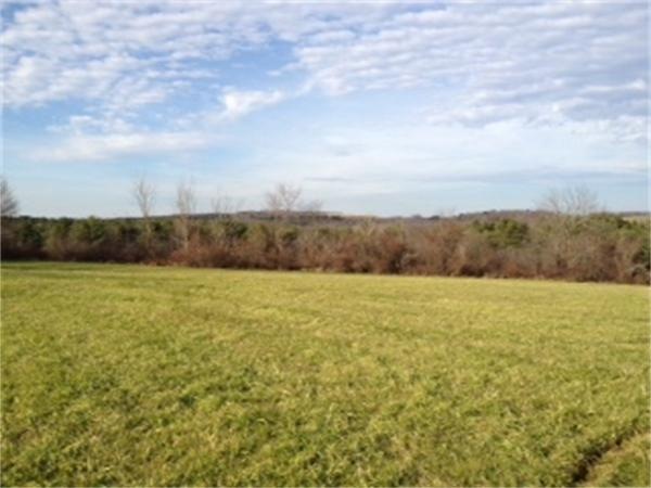 67 Hastings Rd, Spencer, MA 01562 - photo 1