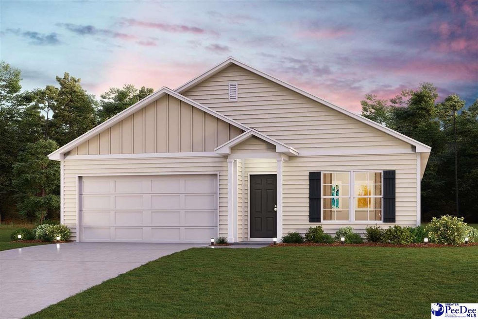 1959 E Paces Trail, Darlington, SC 29532 - photo 1