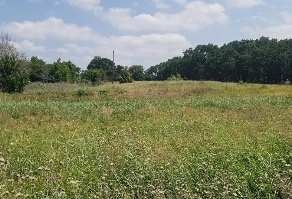 8496 Lavender, Springtown, TX 76082 - photo 1