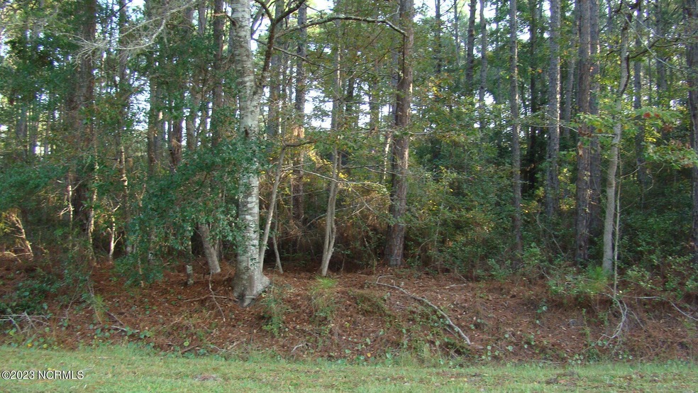 DSC05048