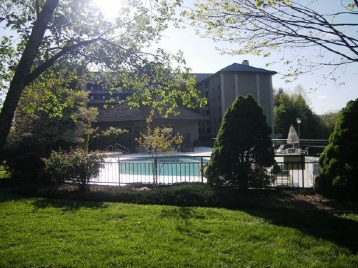 Primary Photo