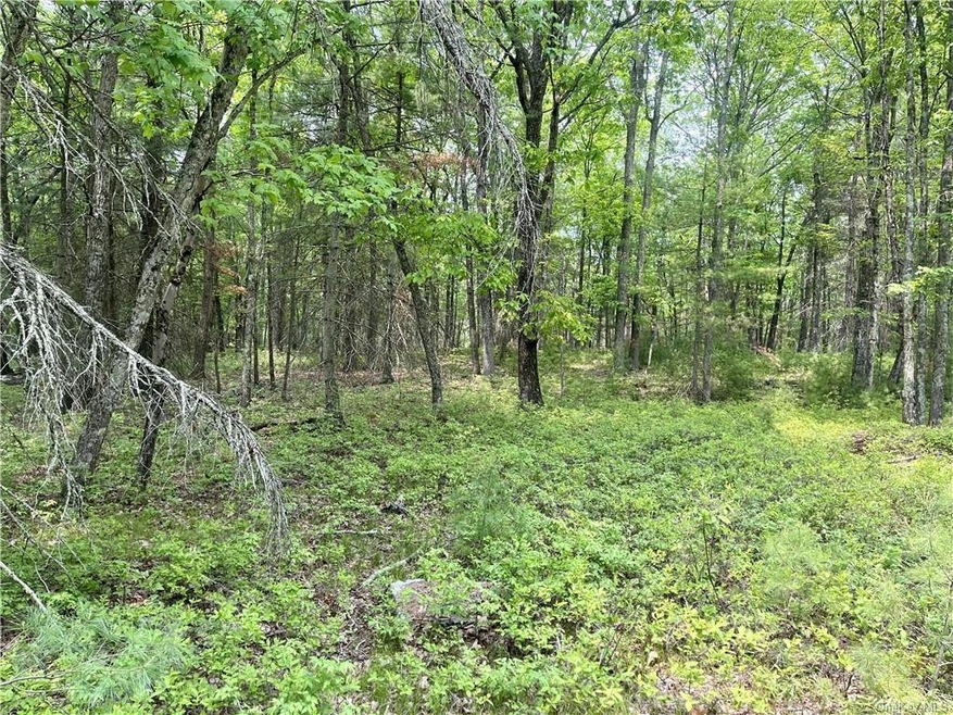 0 Split Rock Dr unit ONEH6250966, Highland, NY 12719 - photo 1