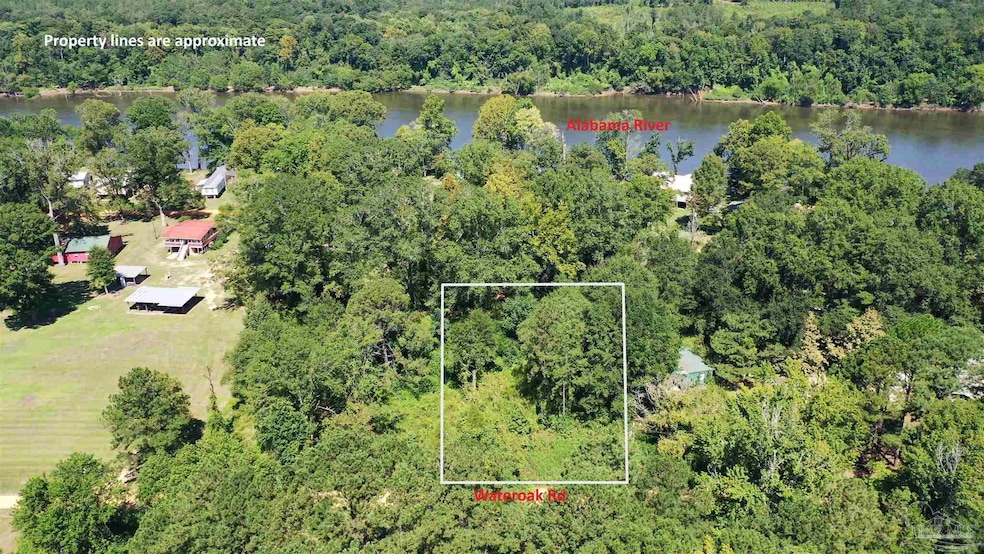 0 Eureka Landing Rd unit 669712, Uriah, AL 36480 - photo 1