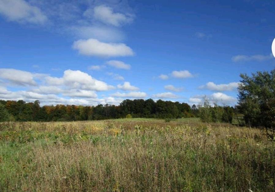 ON Price Polar Rd unit 20 Acres, Bryant, WI 54418 - photo 1