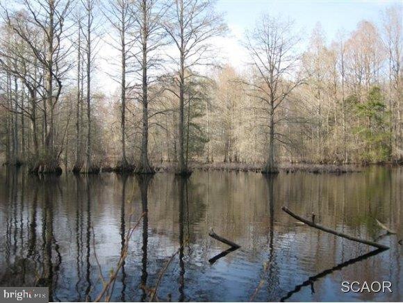 11235 Laurel Rd, Laurel, DE 19956 - photo 1