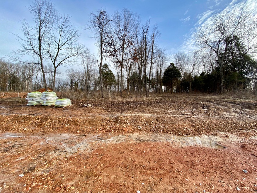 Lot 2 the Estates of Enniskerry, Nixa, MO 65714 - photo 1