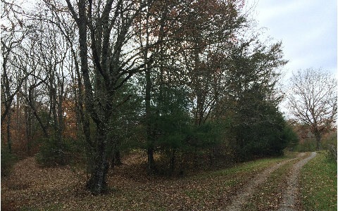 Main View