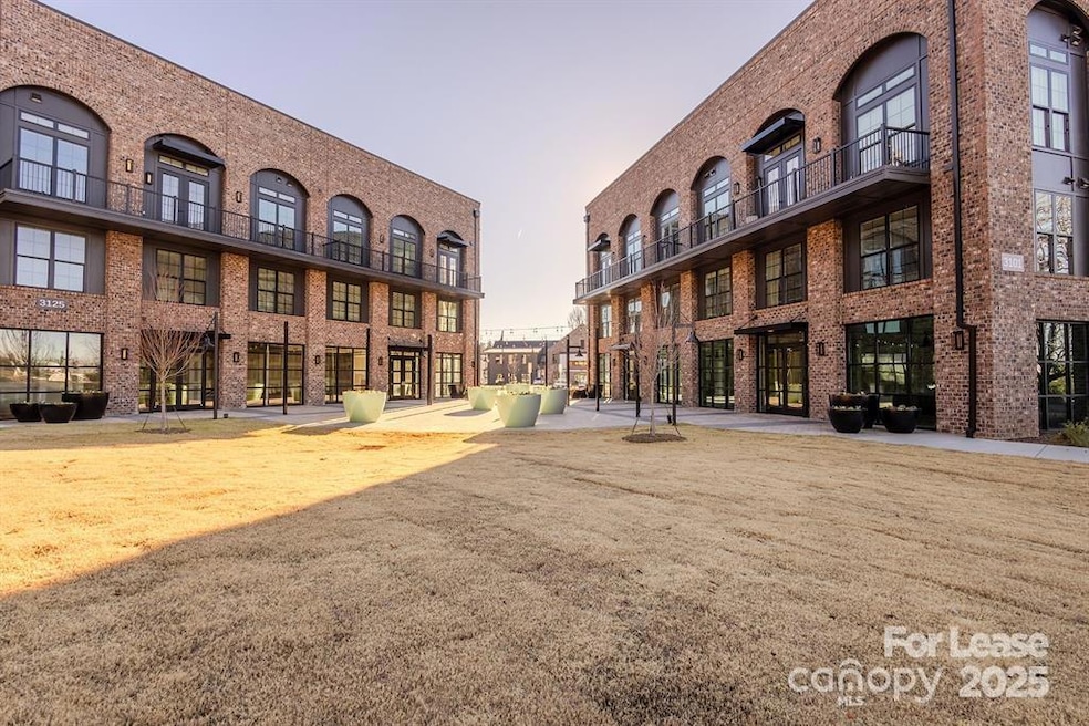 3110 Doe River Way unit Chadwick, Matthews, NC 28105 - photo 1